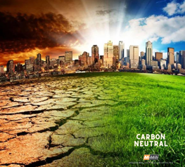 We Took Action to Combat Climate Change